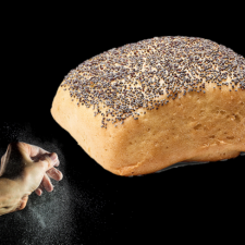 Glutenfri