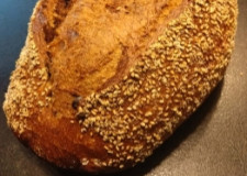 Stenovns Brød HavGus